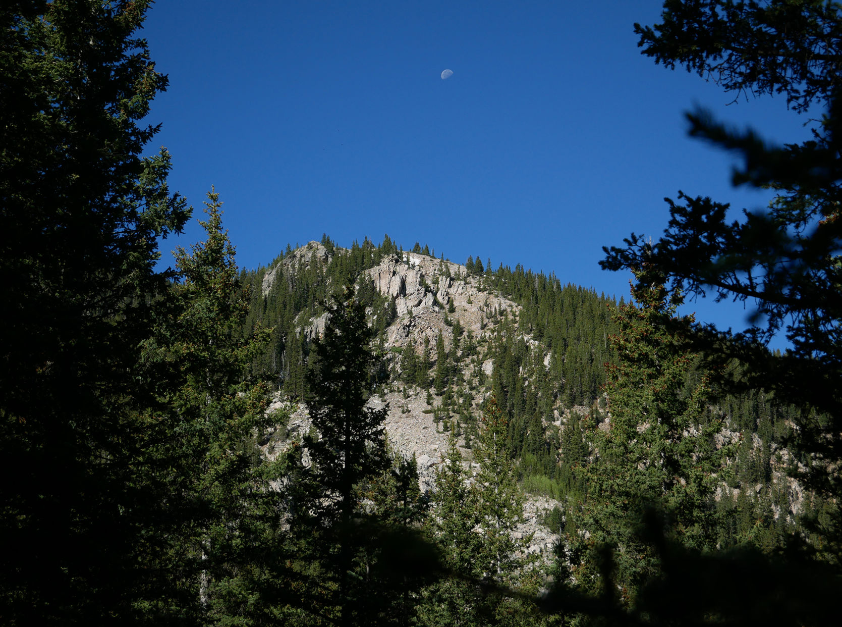 Baldy3.jpg